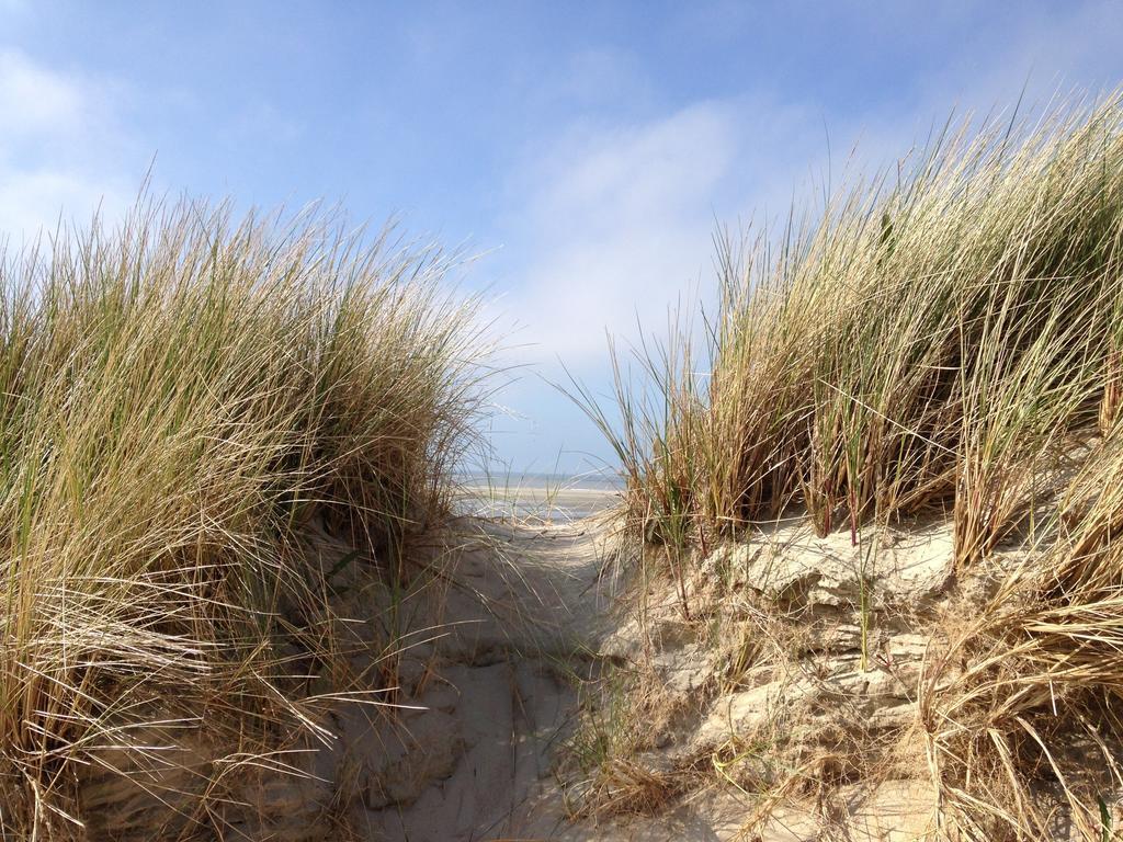 Hotel De Dennen Egmond aan Zee Bagian luar foto